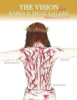 bokomslag Vision for Babes and Meat Eaters
