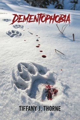 bokomslag Dementophobia