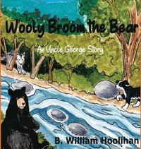 bokomslag Wooly Broom the Bear