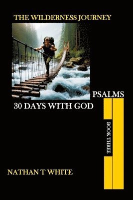 bokomslag Widerness Journey Book Three