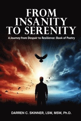 bokomslag From Insanity to Serenity