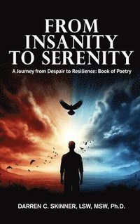 bokomslag From Insanity to Serenity