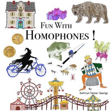 bokomslag Fun With Homophones!