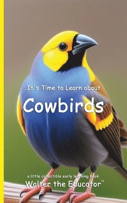 bokomslag It's Time to Learn about Cowbirds