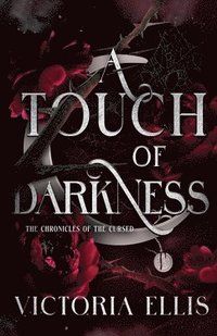 bokomslag Touch of Darkness