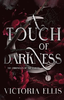 bokomslag Touch of Darkness