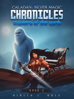 bokomslag Raiders of the North