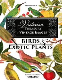 bokomslag Victorian Treasury of Vintage Images - Birds and Exotic Plants