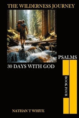 bokomslag The Wilderness Journey Book Four