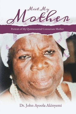 bokomslag Meet My Mother
