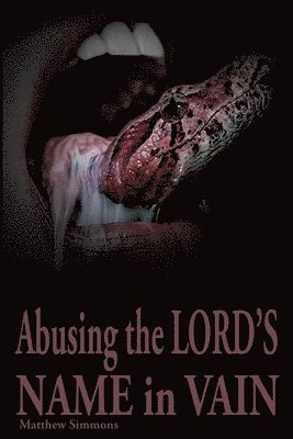 bokomslag Abusing the Lord's Name in Vain