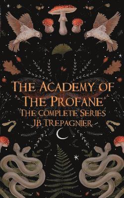 bokomslag Academy of the Profane