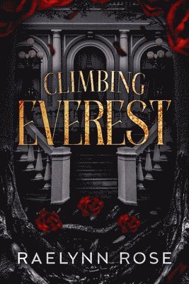bokomslag Climbing Everest