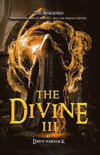 bokomslag Divine III