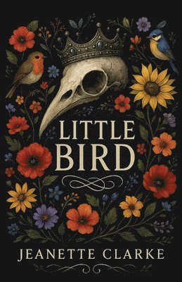 bokomslag Little Bird