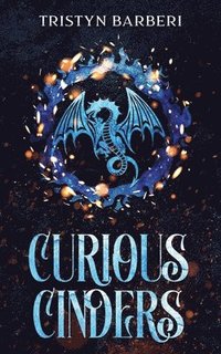 bokomslag Curious Cinders