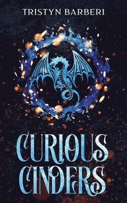 bokomslag Curious Cinders