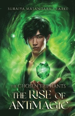 bokomslag Rise of Antimagic