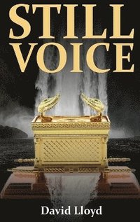 bokomslag Still Voice
