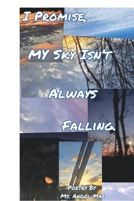 bokomslag I Promise My Sky Isn't Always Falling