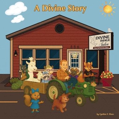 bokomslag Divine Story