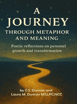 bokomslag Journey Through Metaphor and Meaning