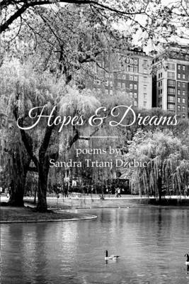 bokomslag Hopes & Dreams