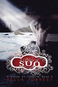 bokomslag Blaze of Sun