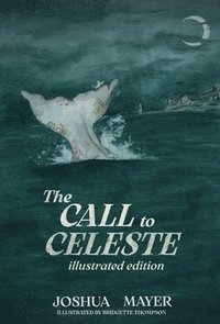 bokomslag Call to Celeste (Illustrated Edition)