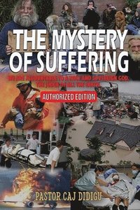 bokomslag Mystery of Suffering