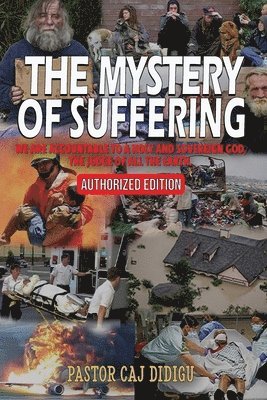 bokomslag Mystery of Suffering