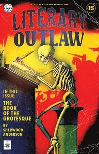 bokomslag Literary Outlaw #15
