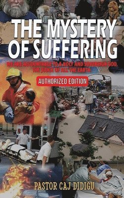 bokomslag THE MYSTERY OF SUFFERING