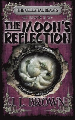 Moon's Reflection