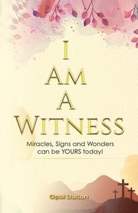 bokomslag I Am A Witness
