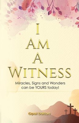 bokomslag I Am A Witness
