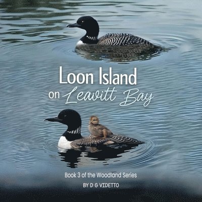 Loon Island on Leavitt Bay