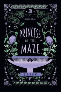 bokomslag Princess of the Maze