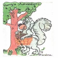 bokomslag Harry's Adventure