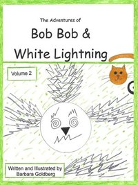 bokomslag The Adventures of Bob Bob & White Lightning, Volume 2: MINE! and Missing Rusty