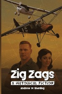 bokomslag Zig Zags