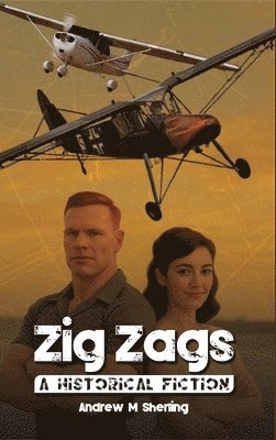 Andrew M Sherling - Zig Zags, Inbunden