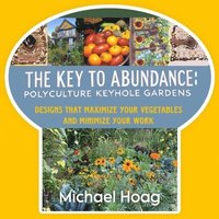 bokomslag Key to Abundance