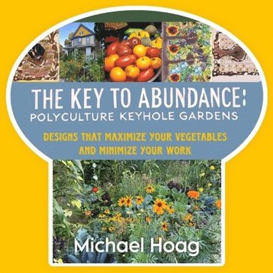 bokomslag Key to Abundance