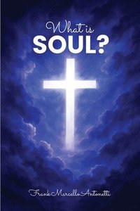 bokomslag What is the soul?