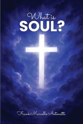 bokomslag What is the soul?