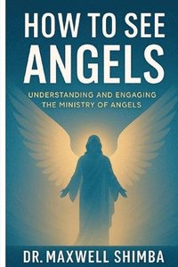 bokomslag How to See Angels