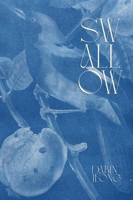 bokomslag Swallow