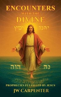 bokomslag Encounters with the Divine