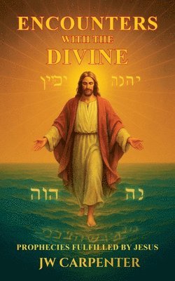 bokomslag Encounters with the Divine